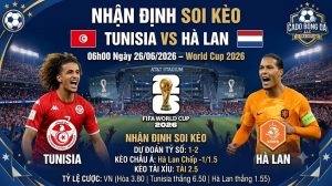 Nhận Định Soi Kèo Tunisia vs Hà Lan 06h00 Ngày 26/06/2026 – World Cup 2026