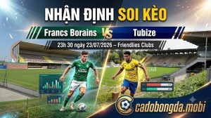 Nhận định soi kèo Francs Borains vs Tubize 23h 30 ngày 23/07/2026 – Friendlies Clubs