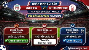 Nhận định soi kèo Chelsea vs Brighton (20h00, 30/08/2026): "Mòng biển" mở hội tại Stamford Bridge, cửa dưới lên ngôi?