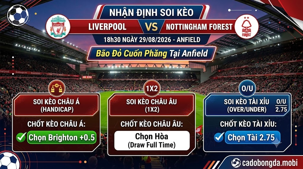 Nhận định soi kèo Chelsea vs Brighton (20h00, 30/08/2026): "Mòng biển" mở hội tại Stamford Bridge, cửa dưới lên ngôi?