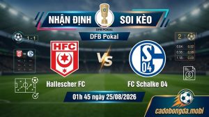 Nhận định soi kèo Hallescher FC vs FC Schalke 04 01h 45 ngày 25/08/2026 – DFB Pokal