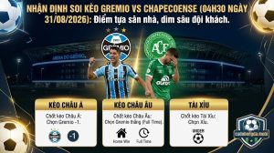 Nhận định soi kèo Gremio vs Chapecoense (04h30 ngày 31/08/2026): Điểm tựa sân nhà, dìm sâu đội khách