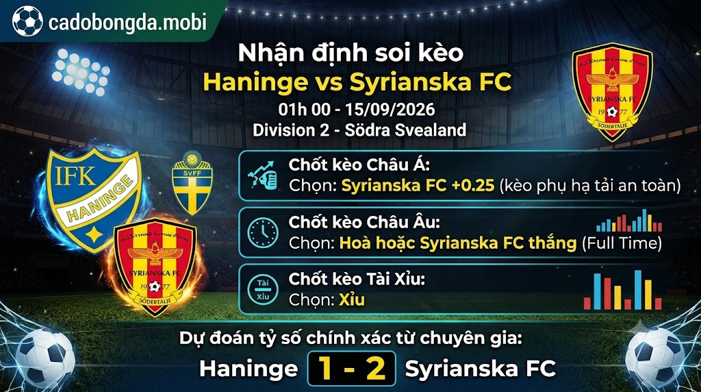 Nhận định soi kèo Haninge vs Syrianska FC 01h 00 ngày 15/09/2026 – Division 2 - Södra Svealand